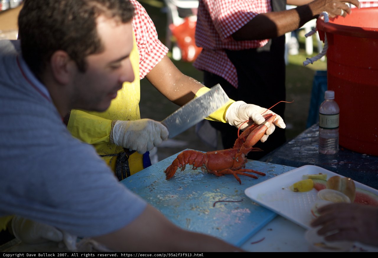 Lobster Delight