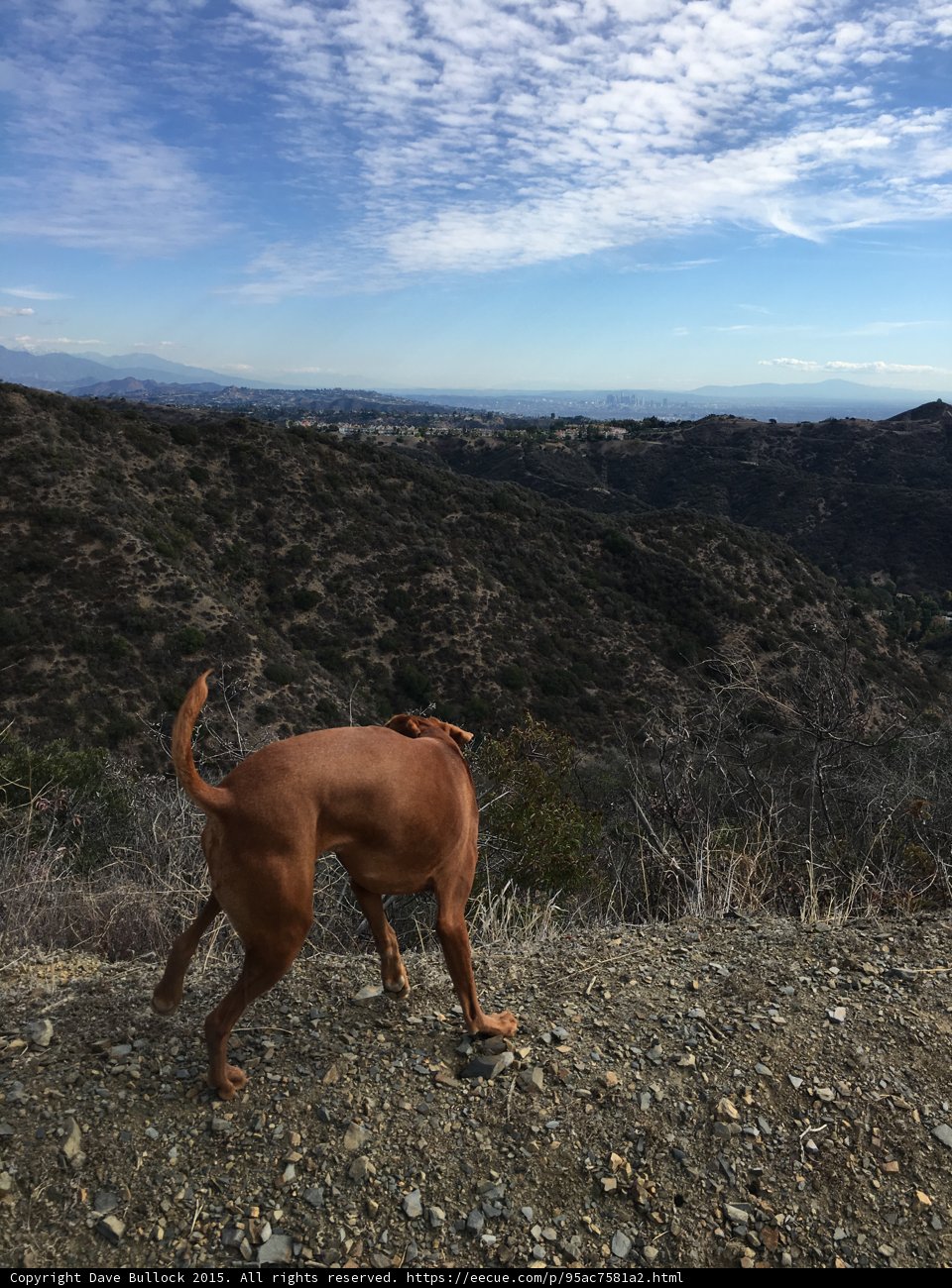 Ocean Mountain View