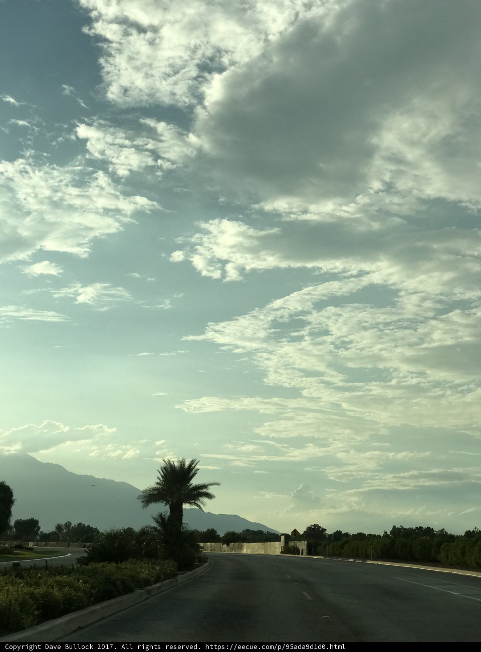 Road Trip Vibes