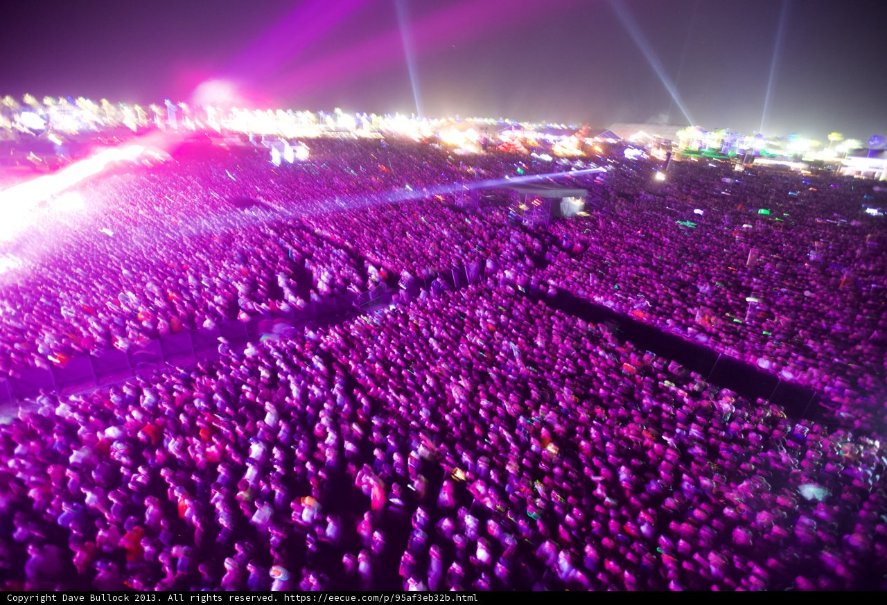 Purple Haze Concert Madness