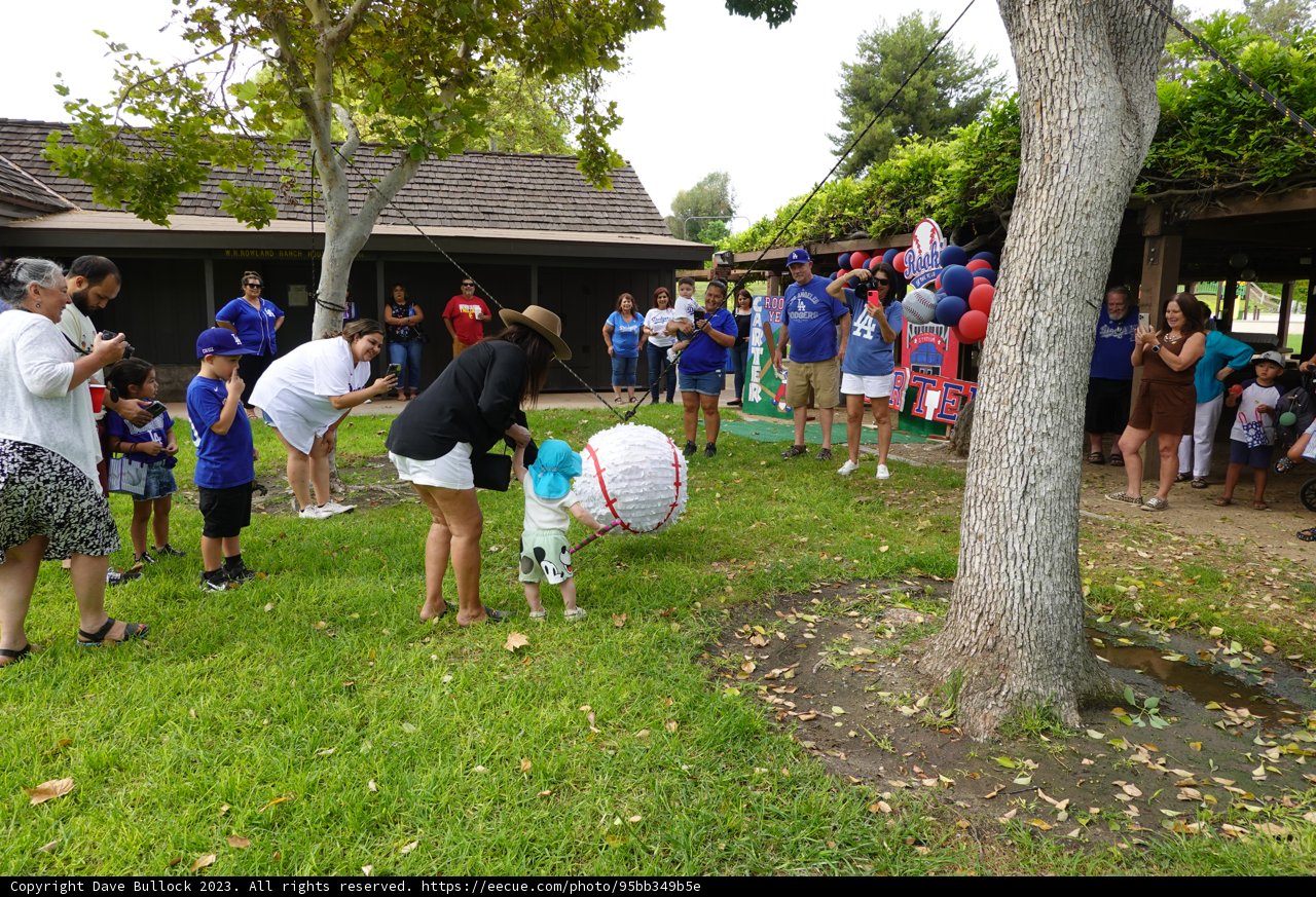 Summer Fun: The Giant White Ball Gathering