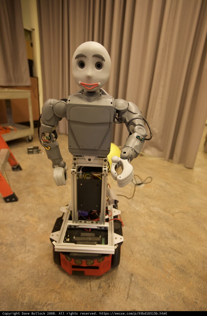 Face of the Future
