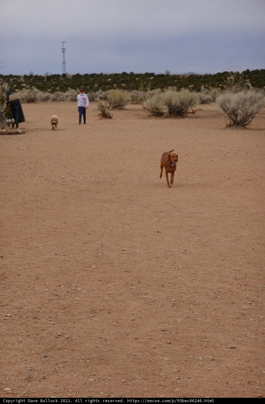 A Man and His Two Companions in the Open Field