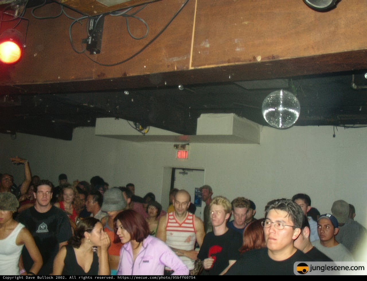 Nightclub Fun with Friends