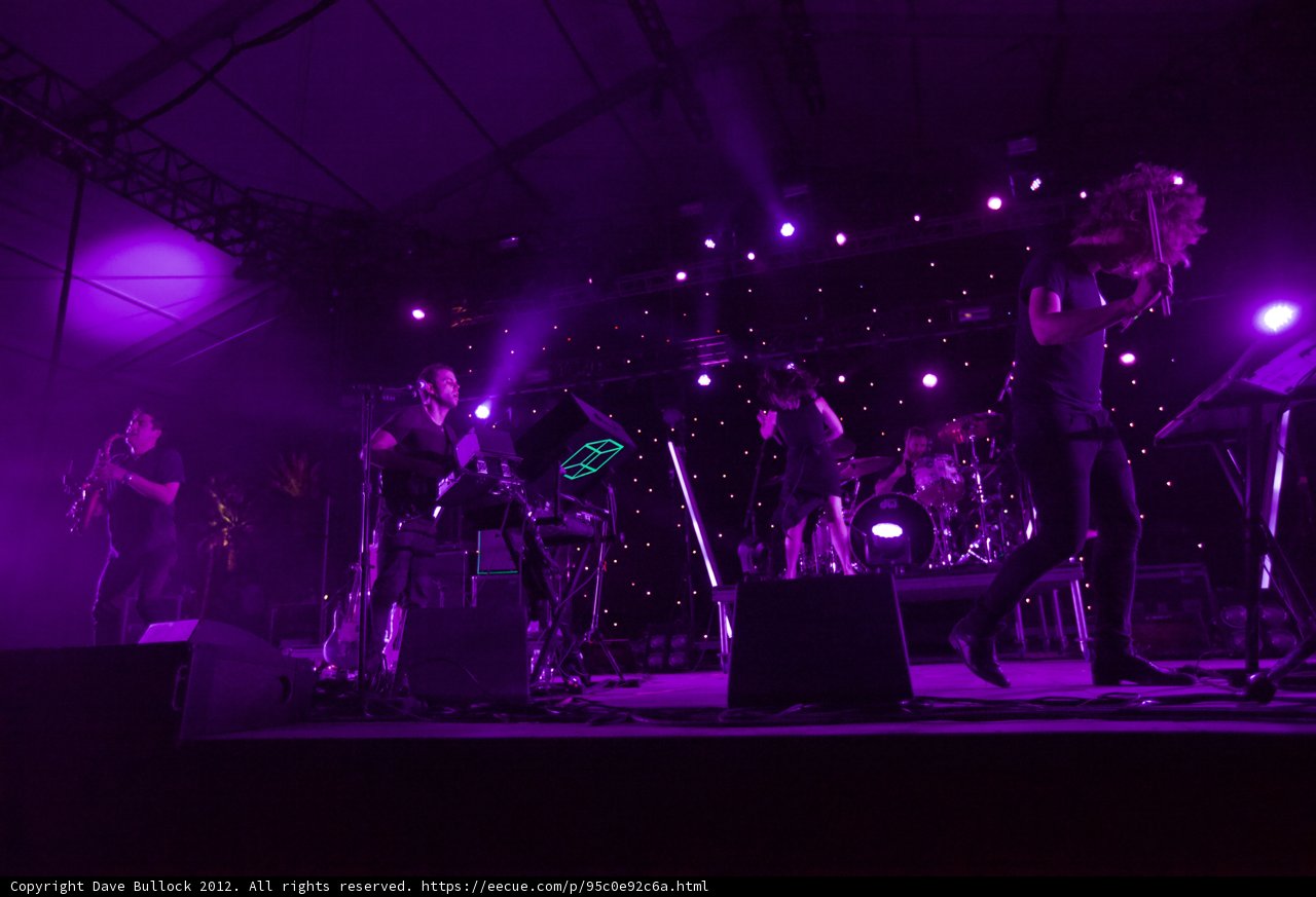 Purple Haze