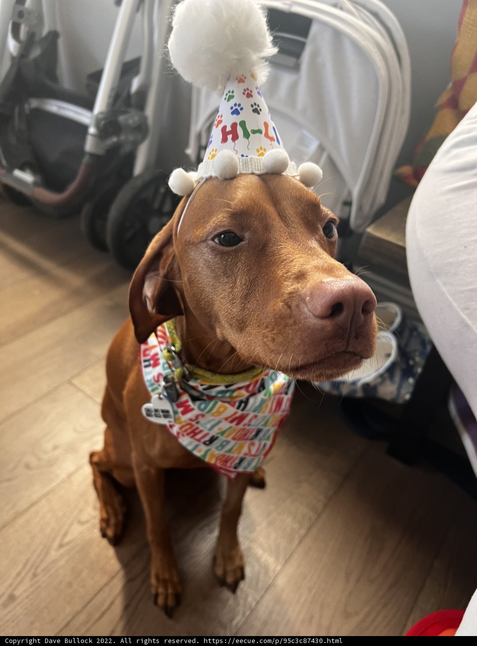 Birthday Boy!