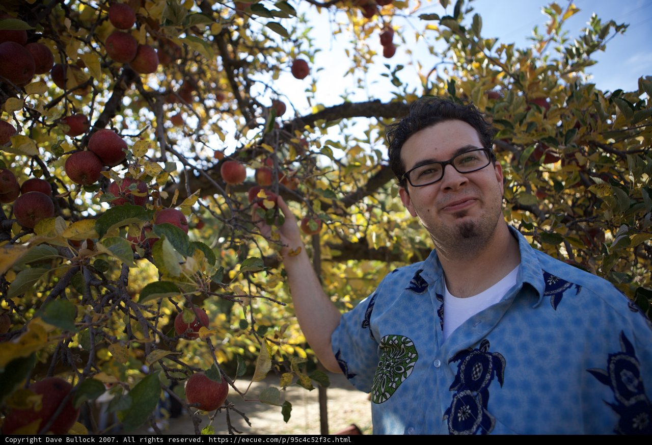 Harvesting Apples on a Perfect Fall Day
