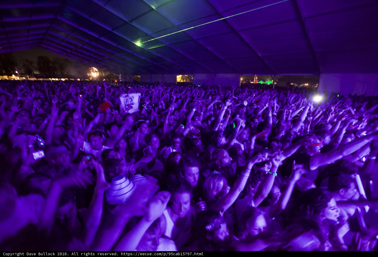 Purple Haze at Coachella