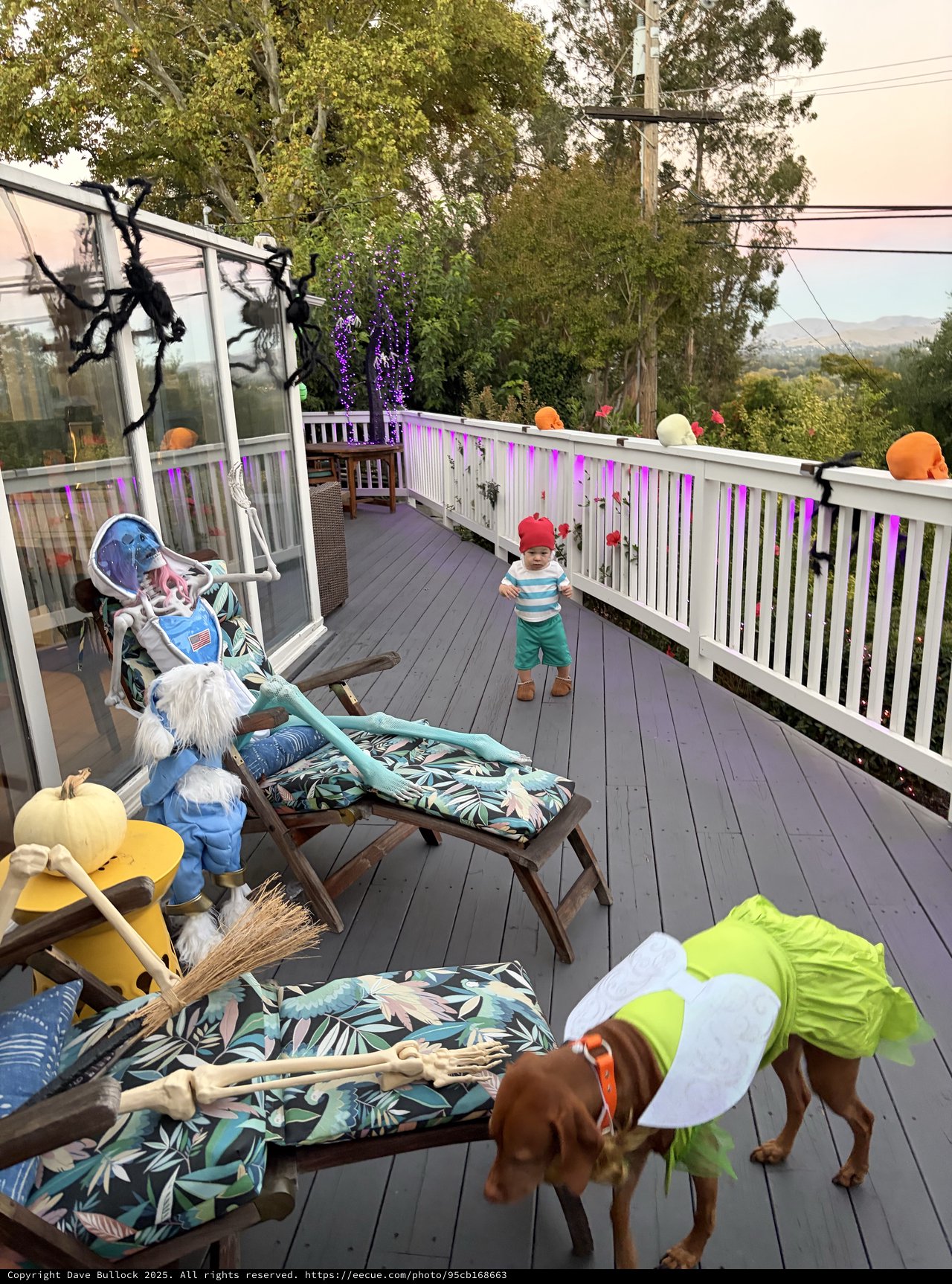 Halloween Decorated Deck with Family and Dog