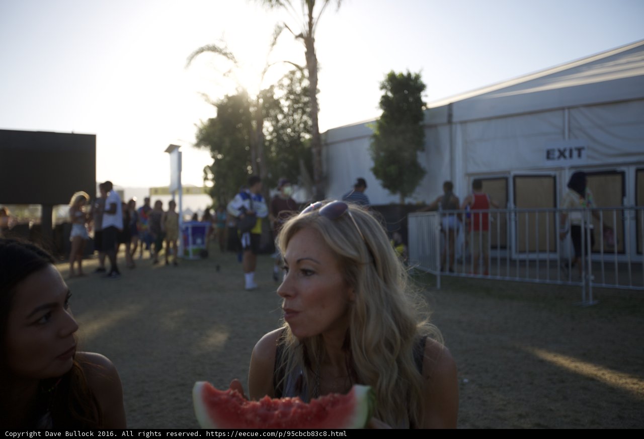 Music Festival Munchies