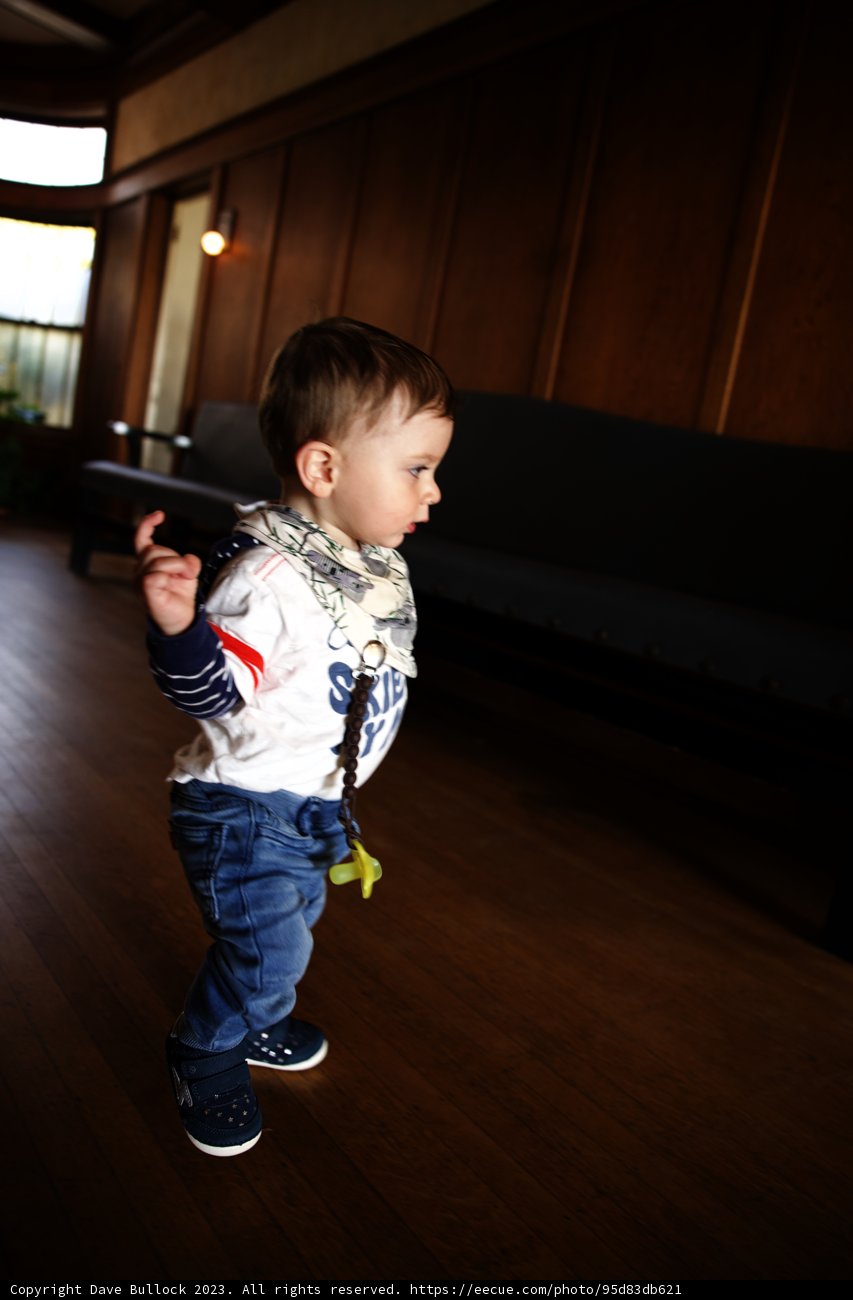 Little Explorer in Blue