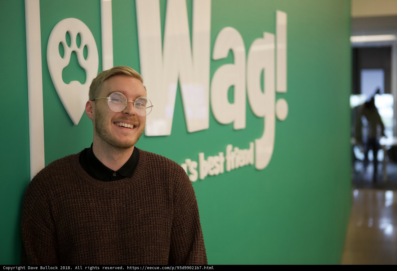 The Man and the Wag Logo