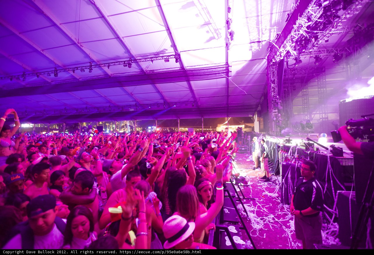 Purple Haze Concert Crowd