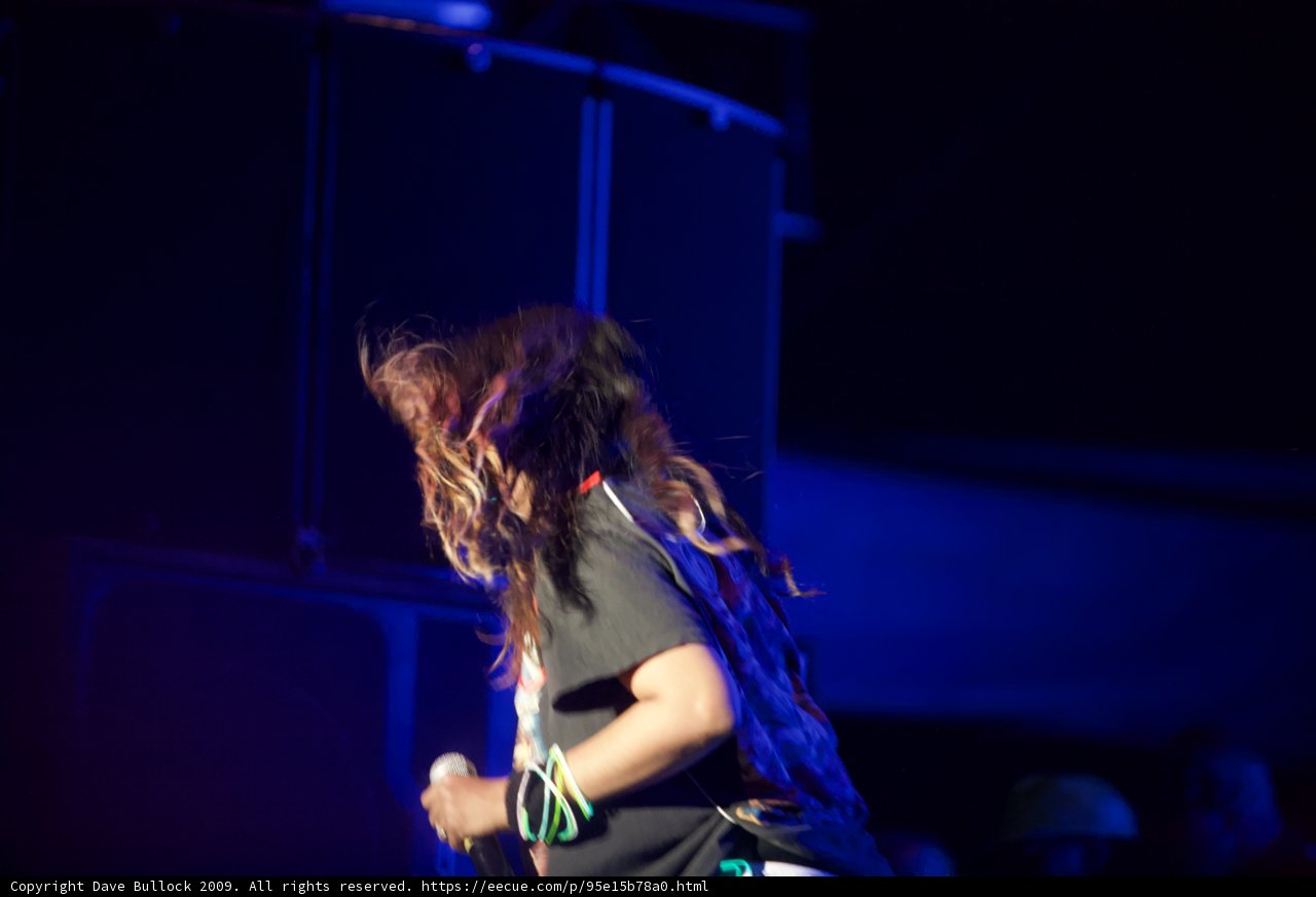 Rocking out at Coachella
