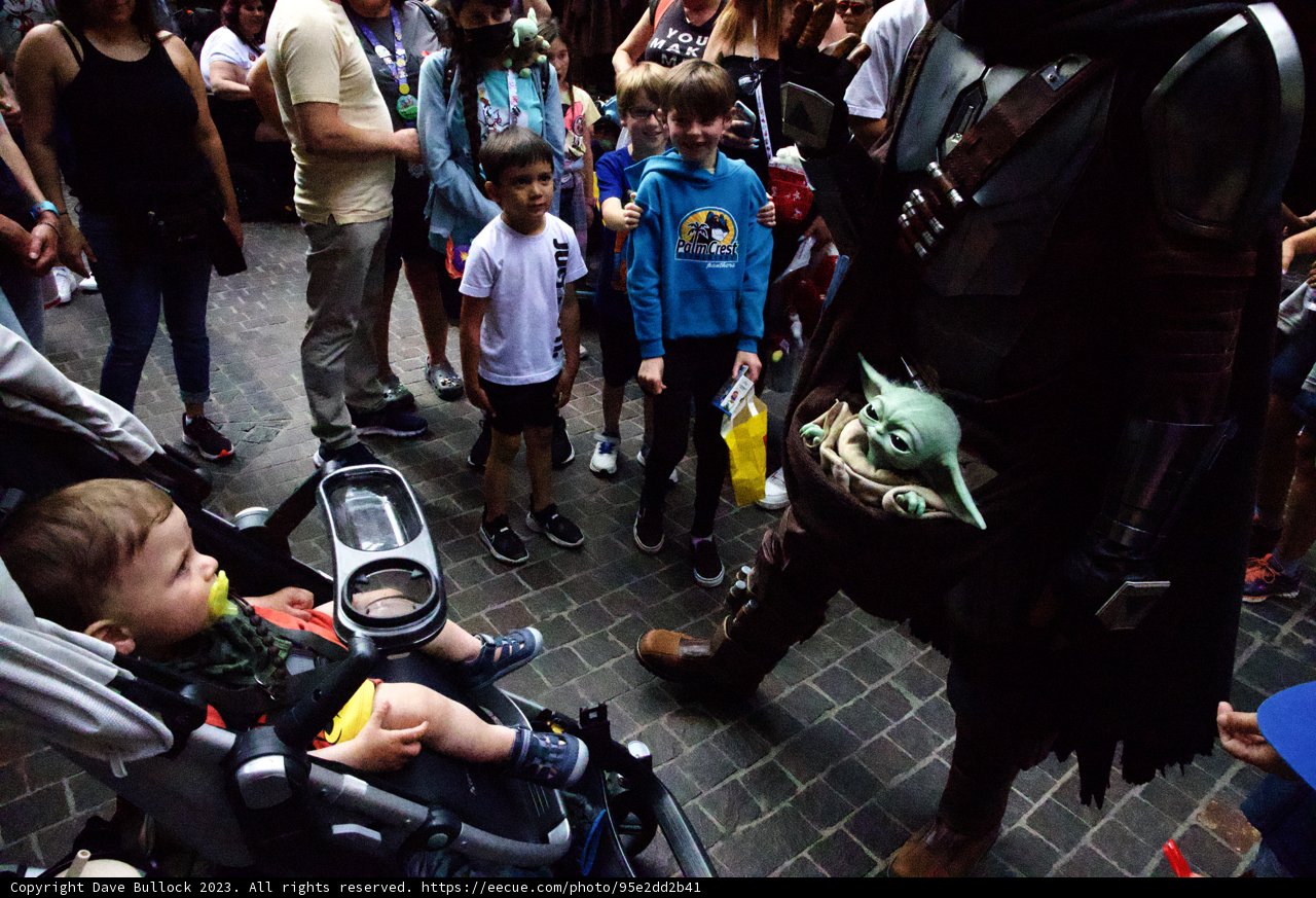 Magical Encounter at Disneyland