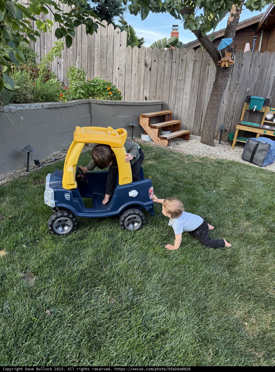 Backyard Adventure