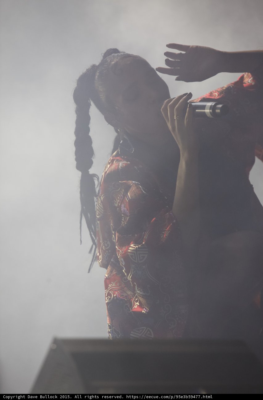 FKA twigs Silhouette Profile Arm Raised Elegant Hand Rings Red Brocade Kimono Gold Patterns Braided Ponytails Heavy Haze
