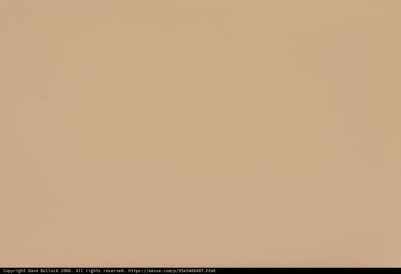 White Wall with Earthy Background