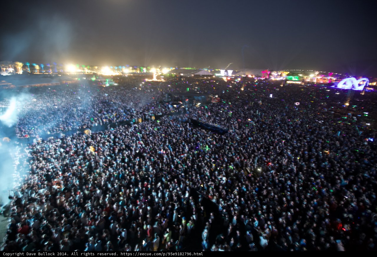 Festival Frenzy