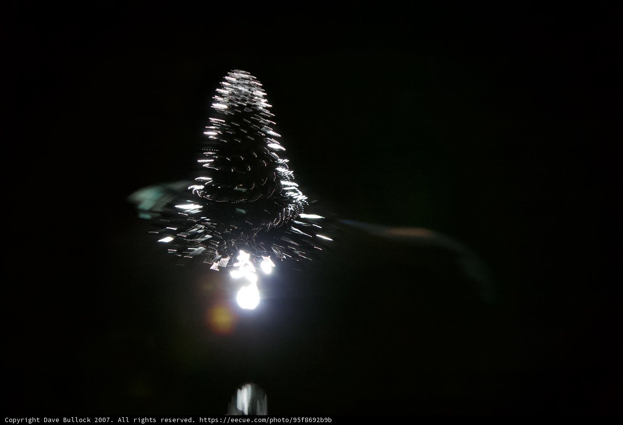 Illuminated Fir Tree