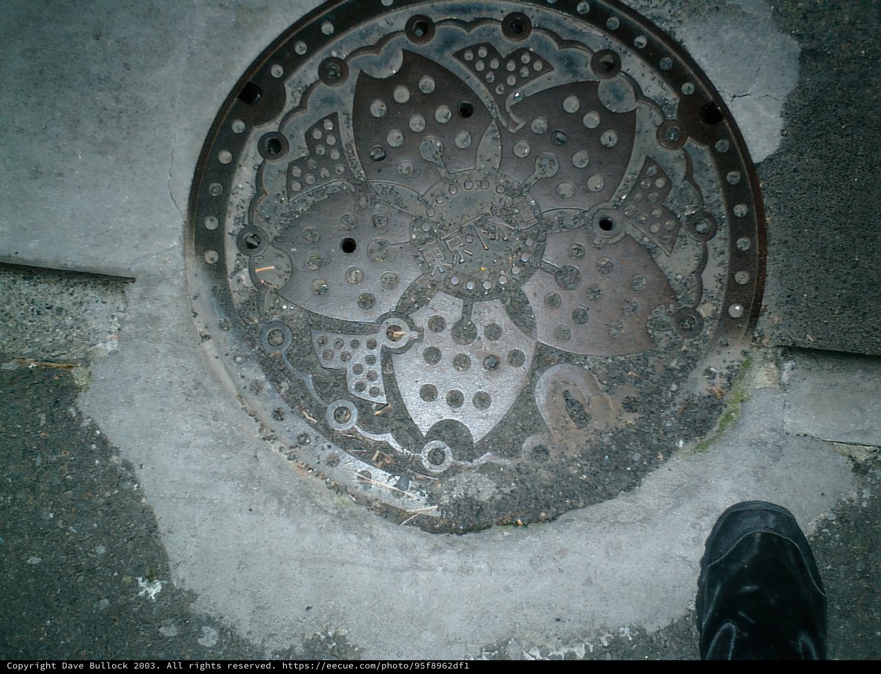 Floral Surprise in Tokyo's Depths