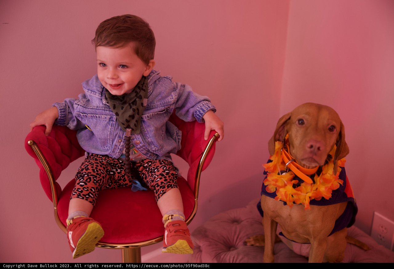 Wesley and His Four-Legged Best Friend
