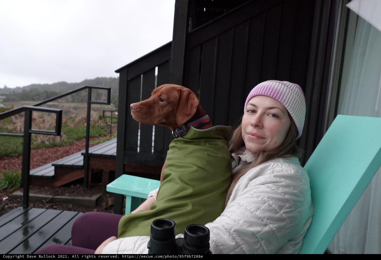 Woman and Dog Relaxing on Modern Deck