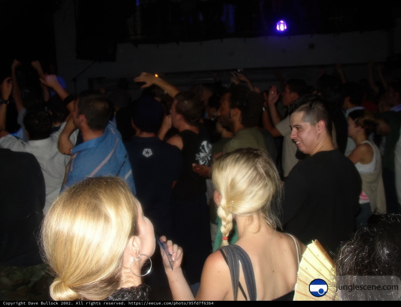 Club-goers at Nightlife Gathering