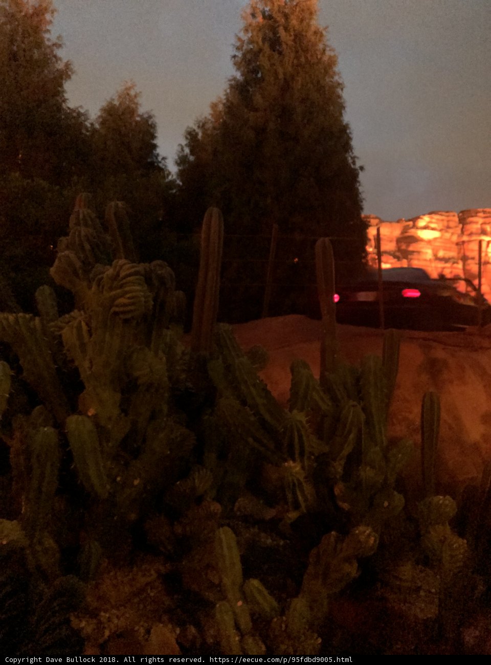 Desert Drive