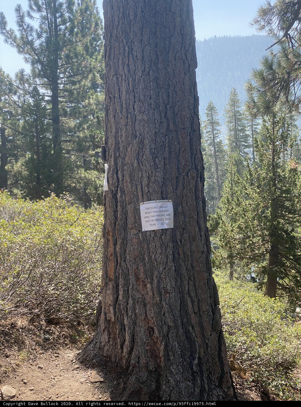 Trail Marker in Sequoia Grove