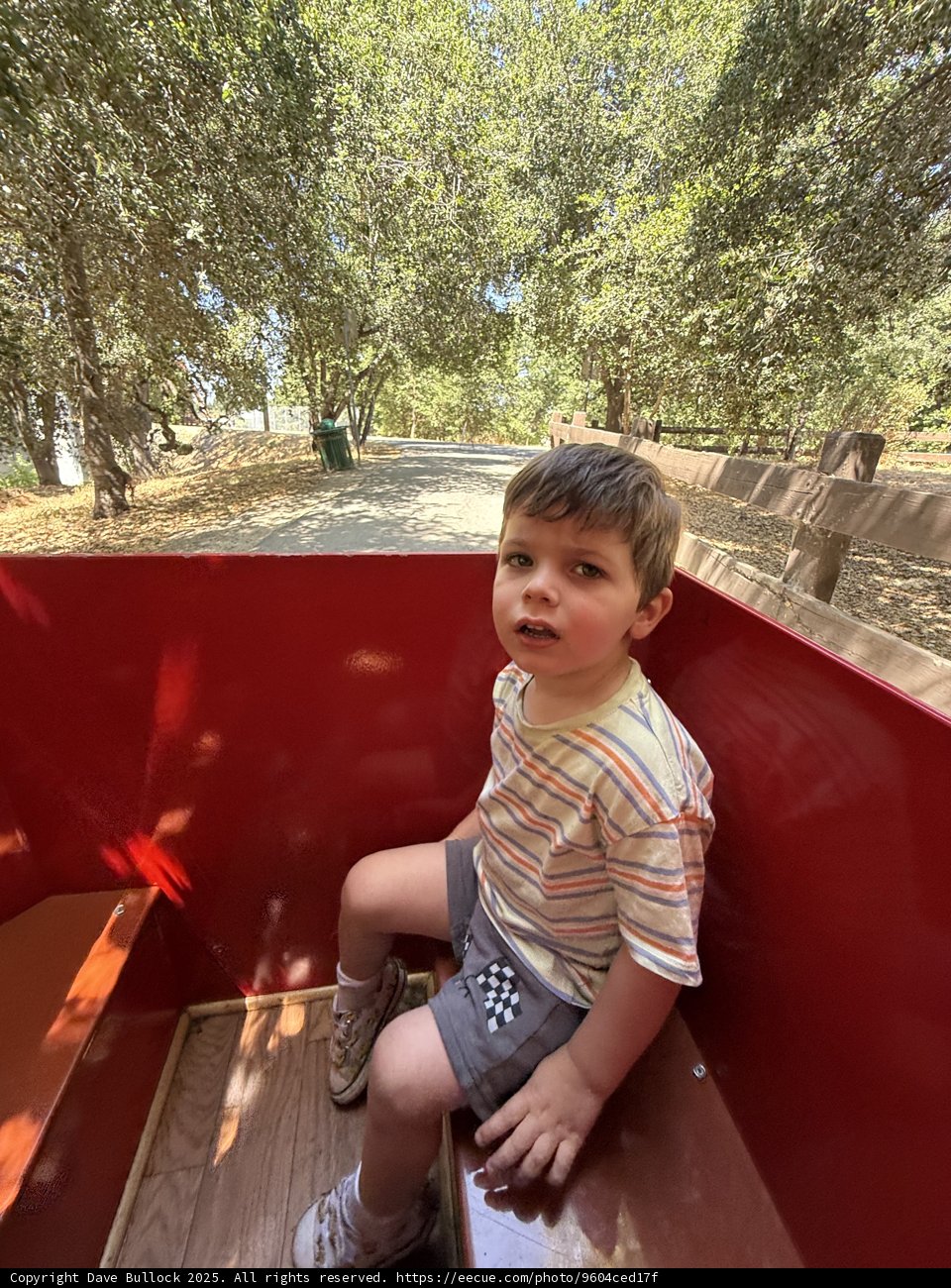 Adventure Awaits