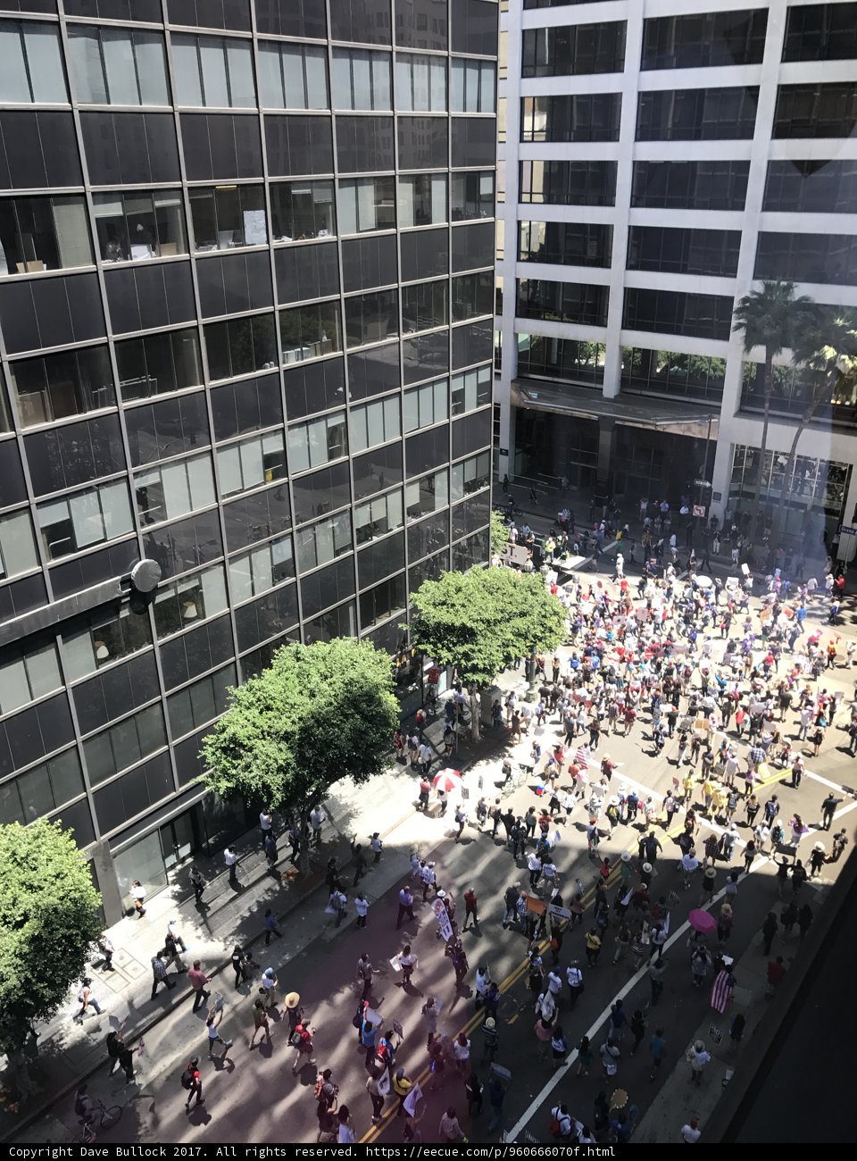 Hustle and Bustle in the Heart of the Metropolis