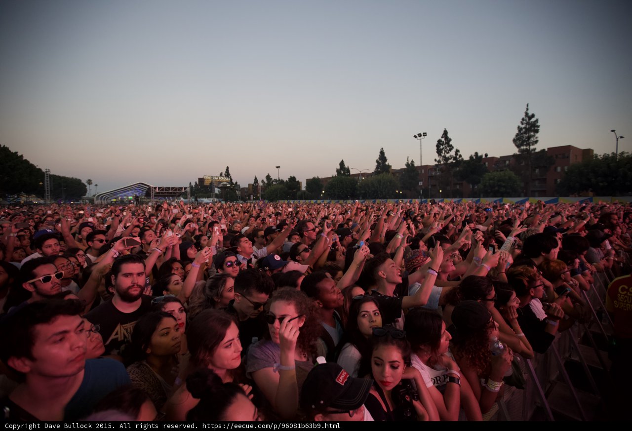 Pink Lit Festival Crowd