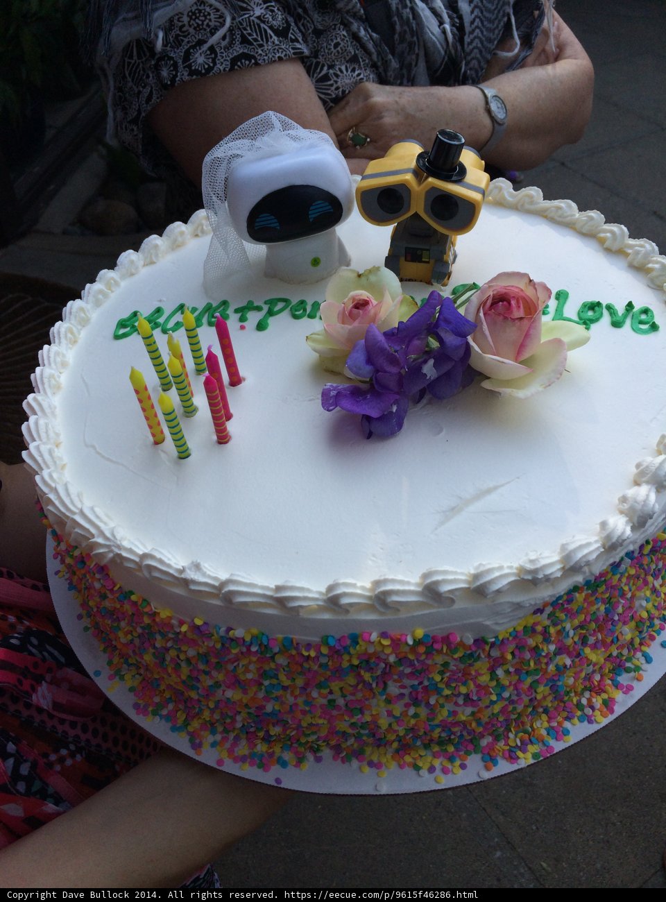 Celebrating with a Robot Cake