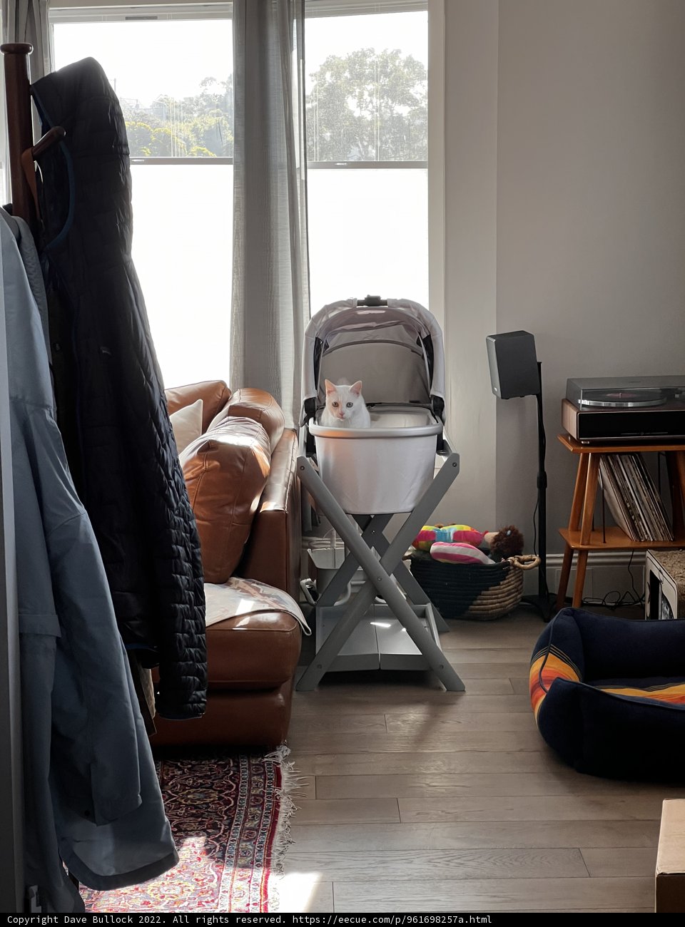 Stroller by the Window