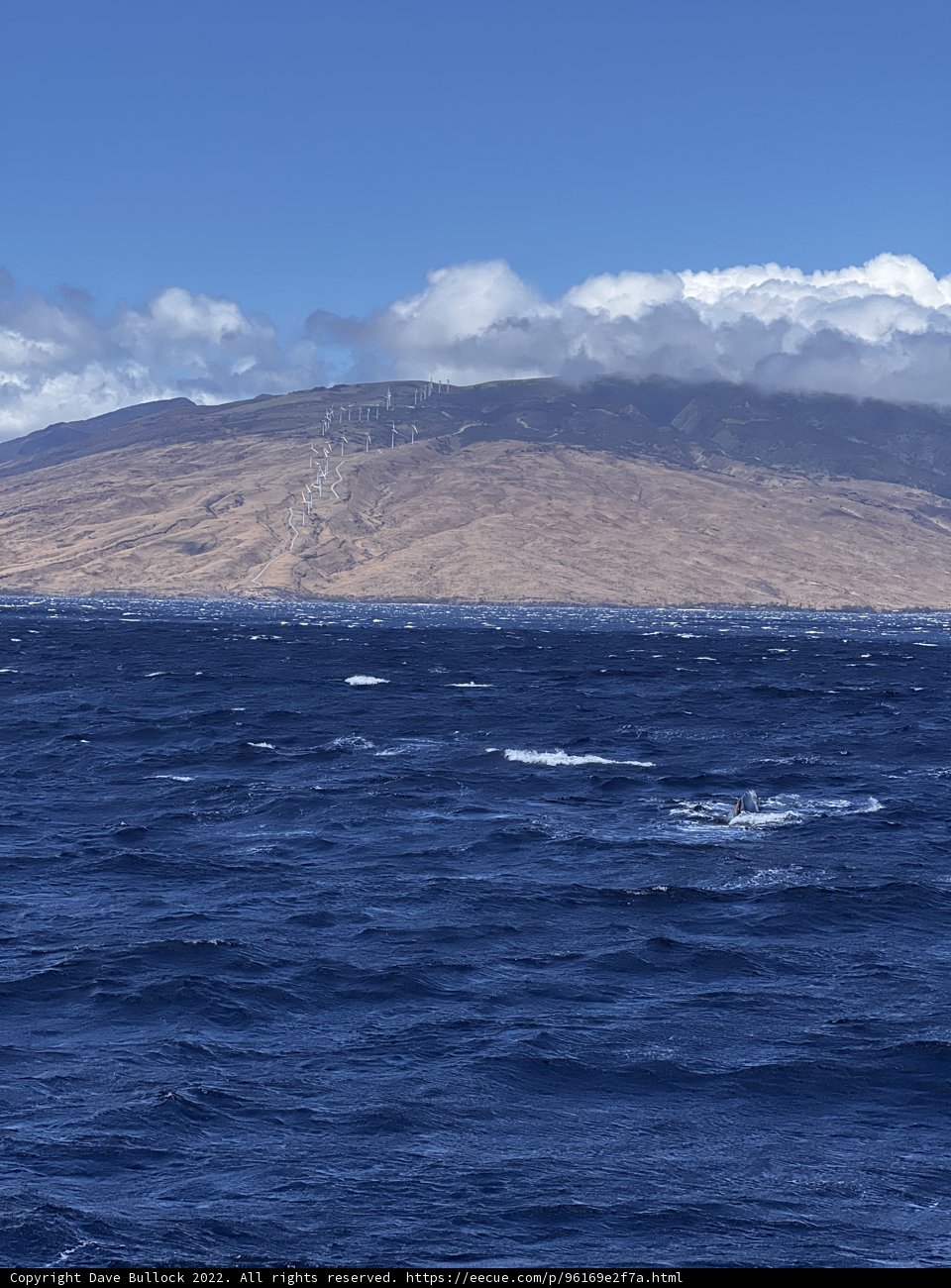 Majestic Mountain and Oceanic Beauty