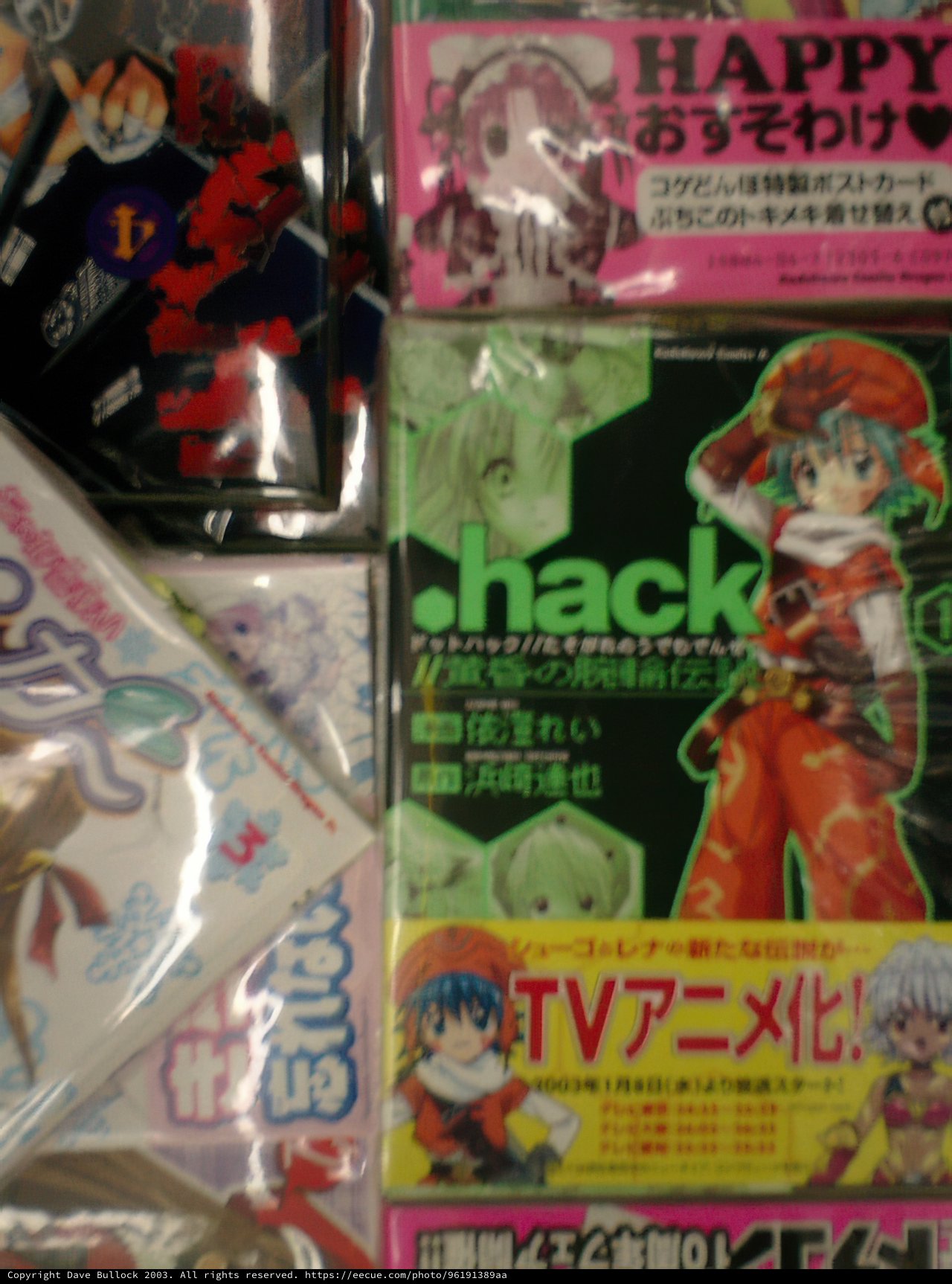 Anime and Manga Book Display