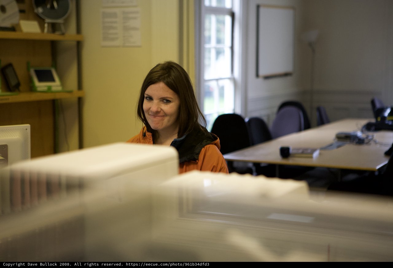 Woman Smiling Behind Office Desk in 2008