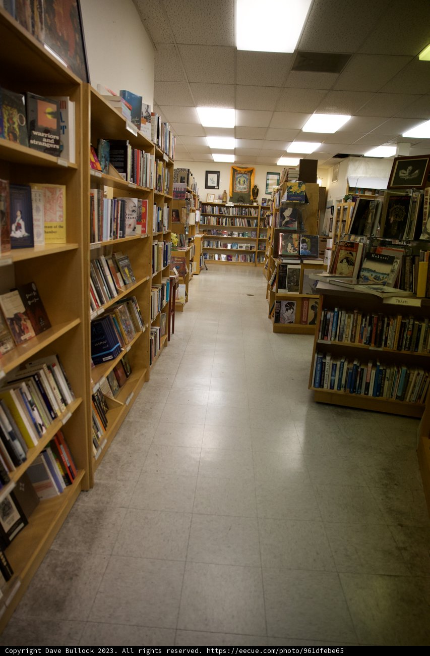 Japan Town Skyela: A Literary Haven