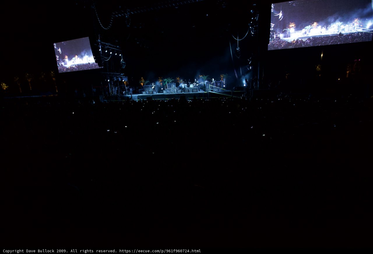 Cinematic Concert Crowd