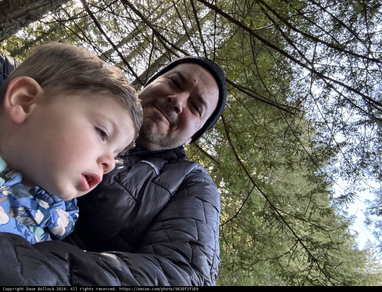 Moments Among the Trees