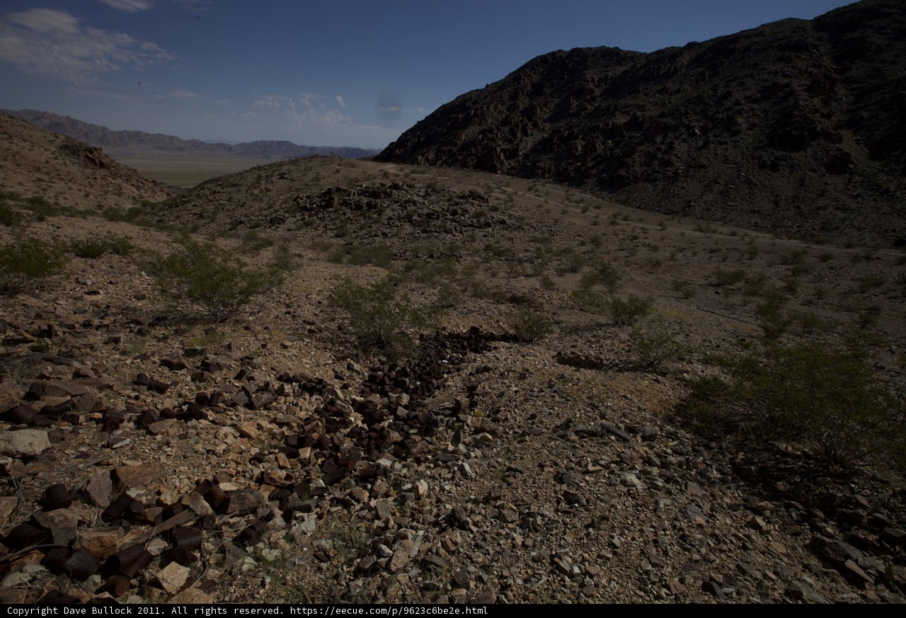 Sheep grazing in the vast desert landscape
