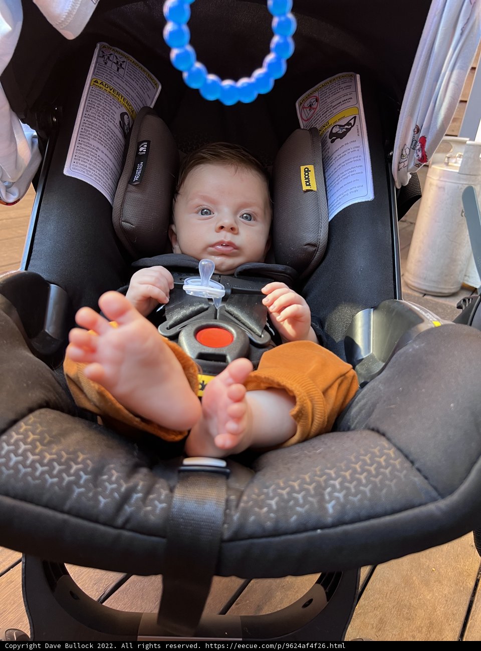 Babies Love Boats too!