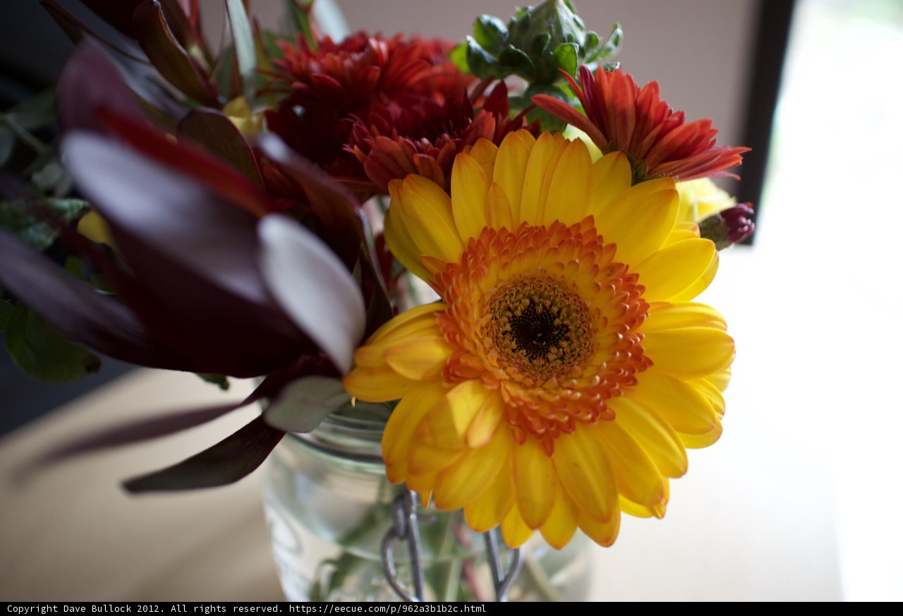 Vibrant Flowers in a Beautifully Crafted Vase