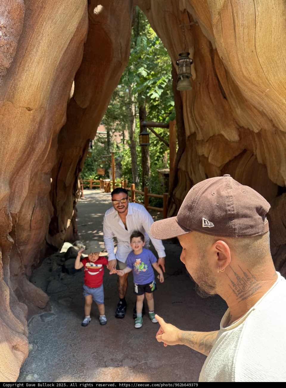 Adventure Under the Sequoias