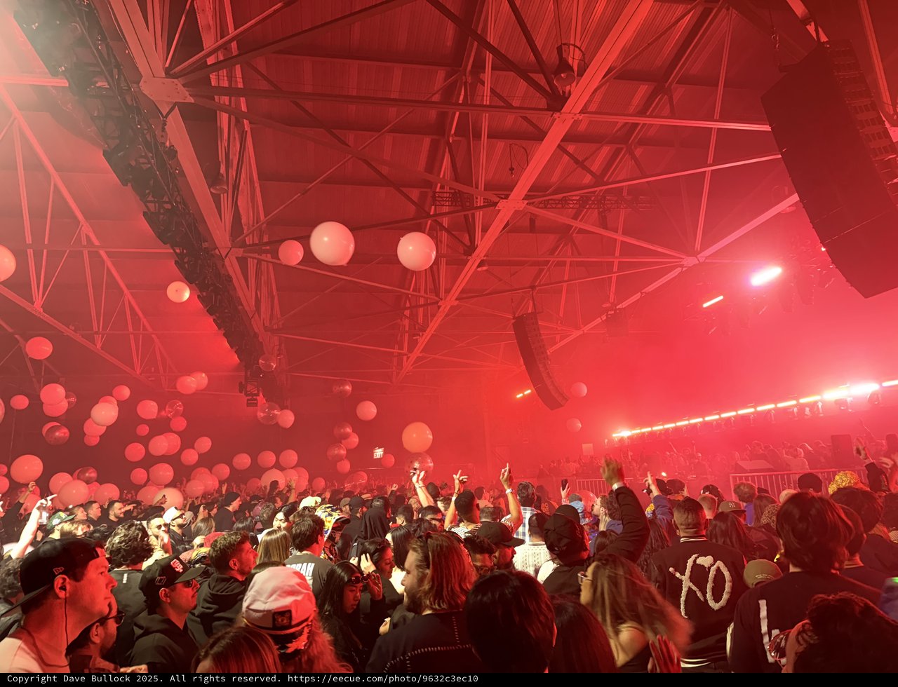 Skrillex Concert in Full Bloom with Red Lighting