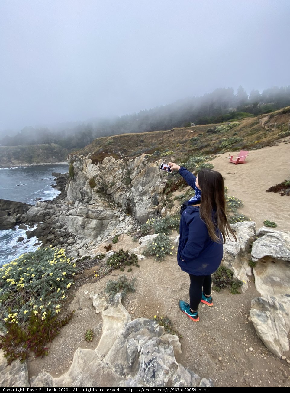 Capturing Nature's Beauty