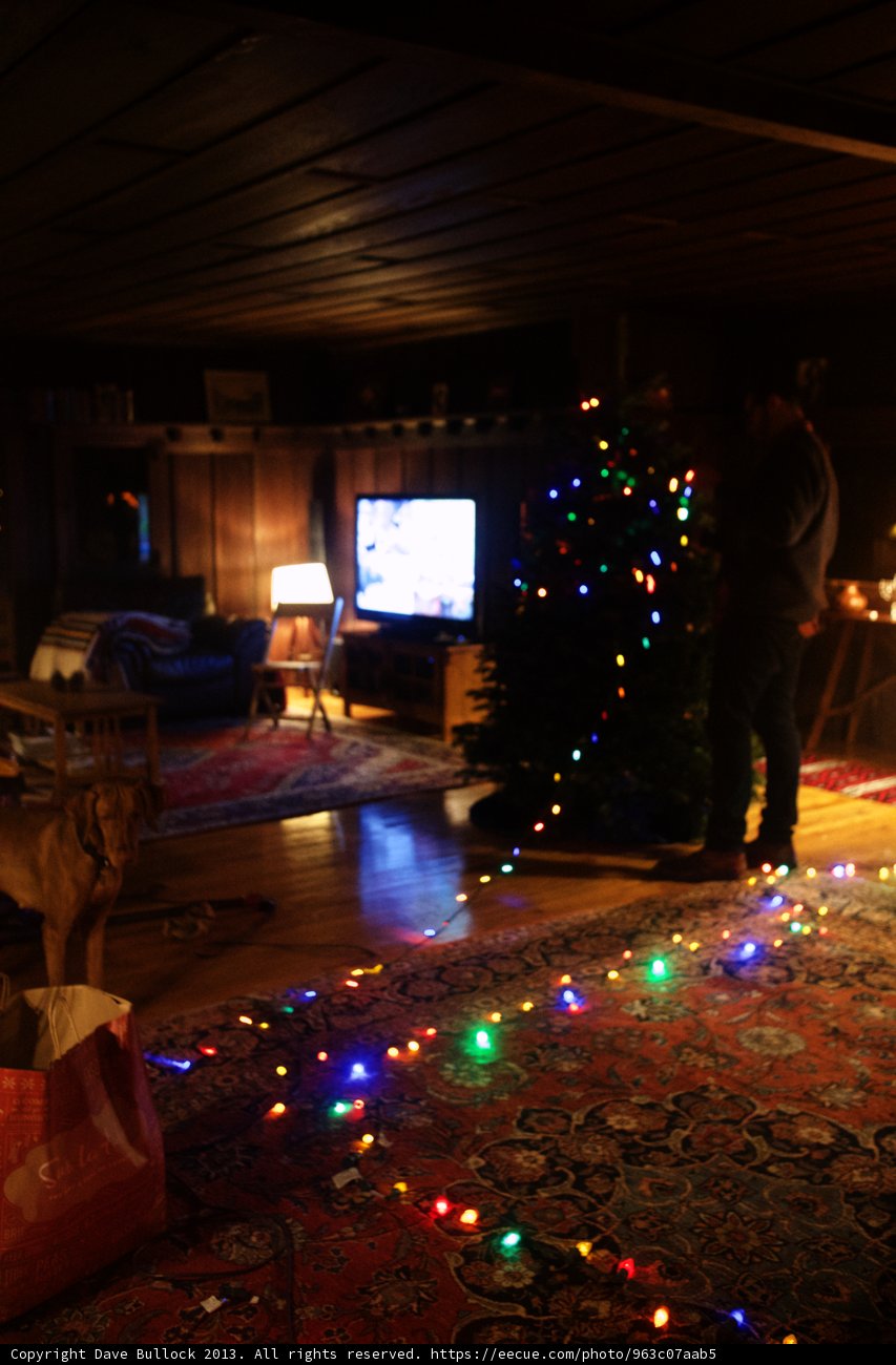 Festive Living Room