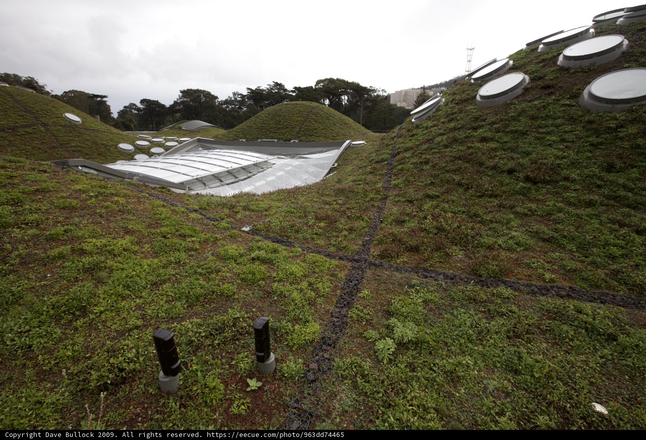 Green Roof with Circular Structure on Top