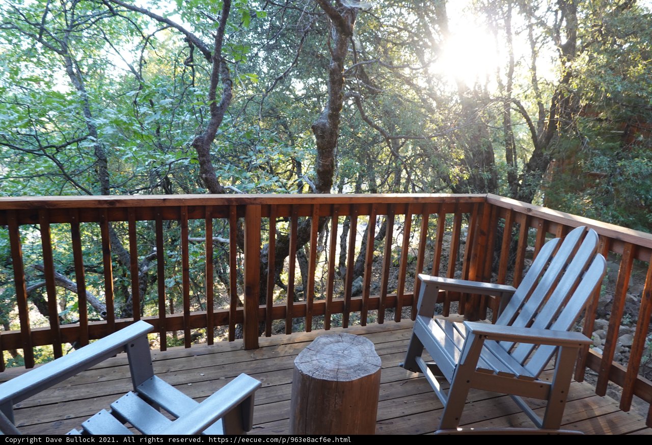Nature's Dining Room